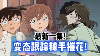 [Detective Conan] The latest episode! A pervert stalks and destroys a girl! The aunt secretly compet