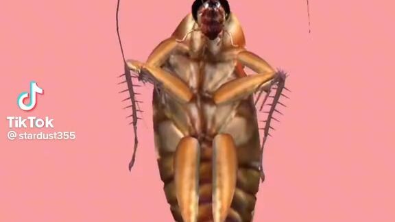 it's so funny 😂😂