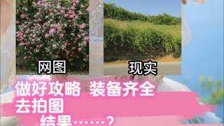 أعددت الخطة جيدًا وجلبت كل المعدات اللازمة للتصوير الفوتوغرافي، لكن النتيجة كانت...