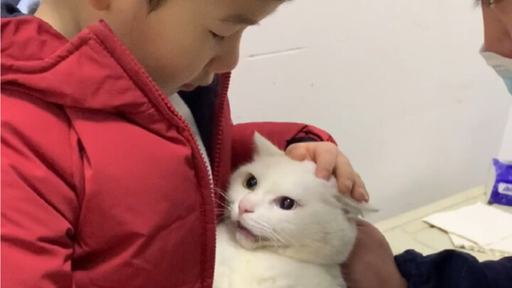 พี่ยู่ยู่อุ้มลูกแมวมาแล้ว น้องแมวดูตื่นเต้นมากเลย