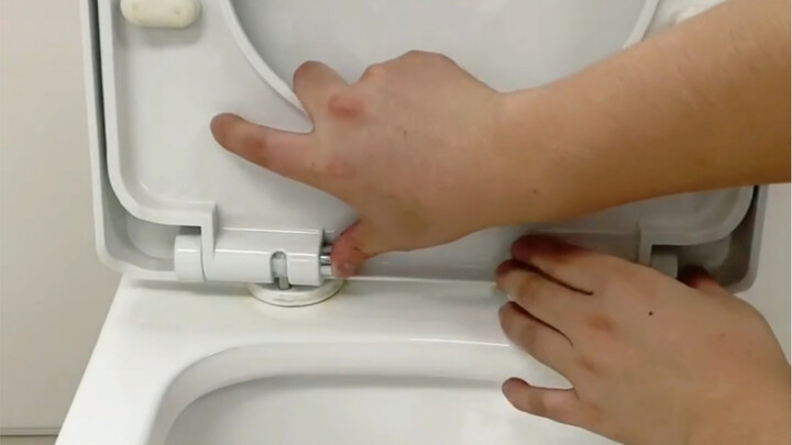 What to Do About a Wobbly Toilet Seat? Let Me Walk You Through It Step by Step!