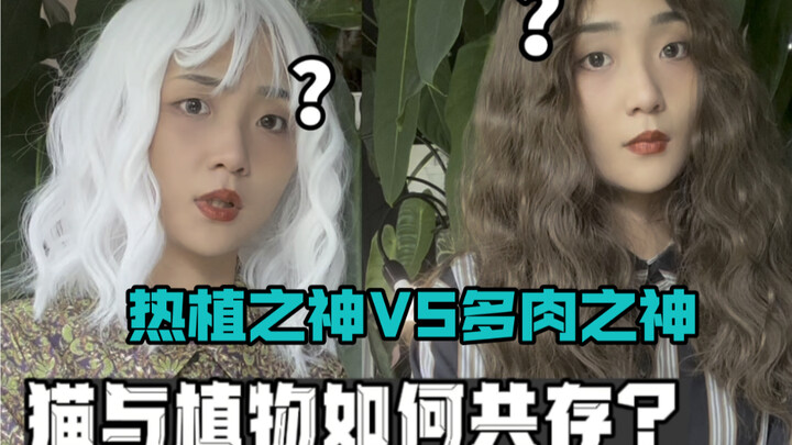 When the God of Tropical Plants meets the God of Succulents... Stop fighting already!!!