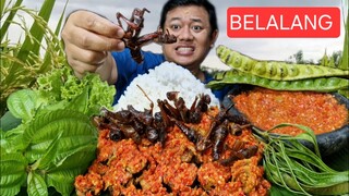 SPESIAL BUAT KALIAN⁉️ MAKAN BELALANG GORENG TERONG CRISPY BALADO LALAPAN PETE MENTAH SAMBEL TERASI