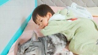 An immersive day as a married cat with a baby