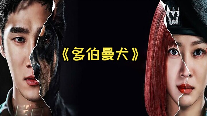 Menonton sekaligus drama Korea 2023 "Military Prosecutor Doberman"