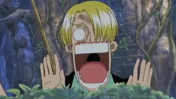 Sanji had fear on bugs