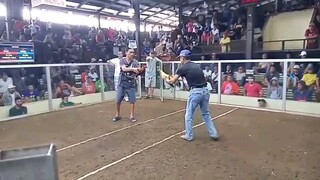 2x winner grey vs golden boy. nakuha sa gulang