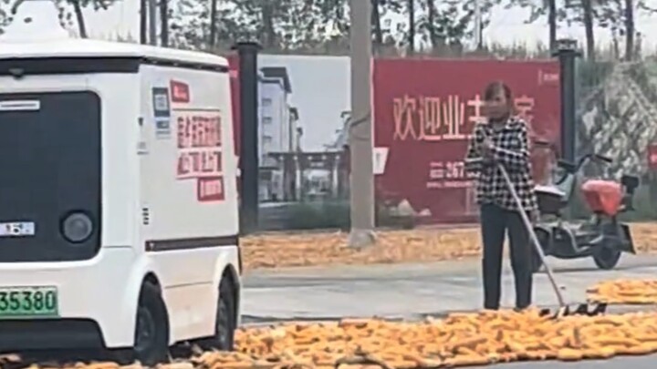 The lady said I used the remote to get in.