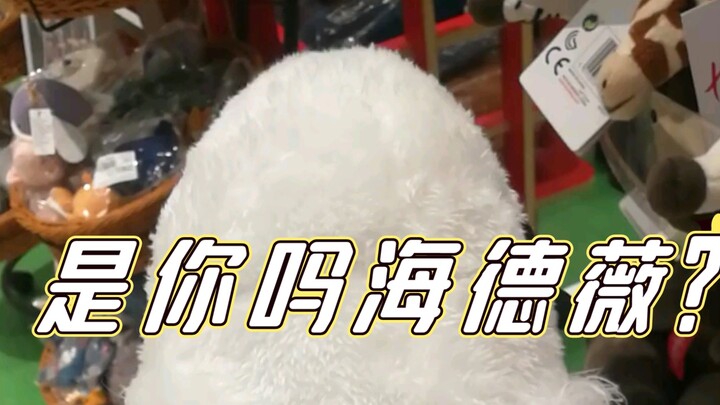 This isn’t my dream girl… Wait, what?!