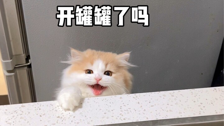 อย่าคิดว่าจะหลอกเอากระป๋องไปจากมือฉันได้