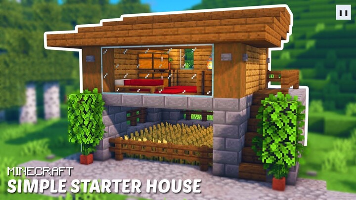 Minecraft : How to Build a Simple Starter House