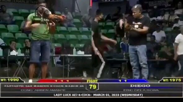 lupit ng mga manok niya (hennie) part3 (entry name: Diego) owner(eric delarosa) ladyluck AEj 6-cock