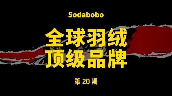 Edisi ke-20 | Merek Bulu Angsa Terbaik Dunia