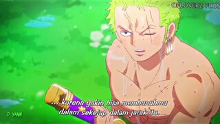 Jangan pernah ngeremehin zoro