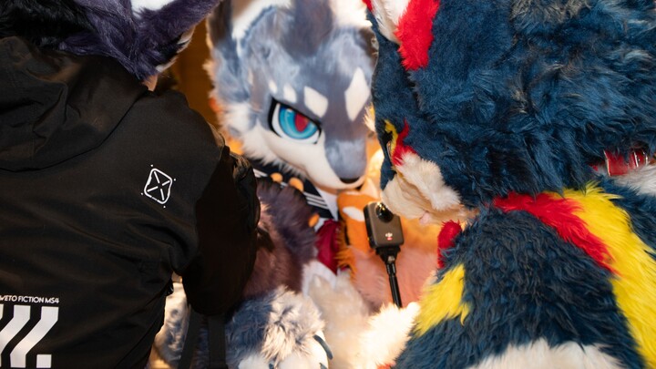 Apa yang akan terjadi jika saya menggunakan metode Longjing dalam mengoleksi prangko di acara Jishou