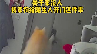 Regarding my dog opening the door for strangers...
