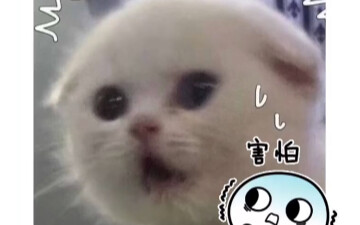 People with rock-solid emotional stability are seriously scary.