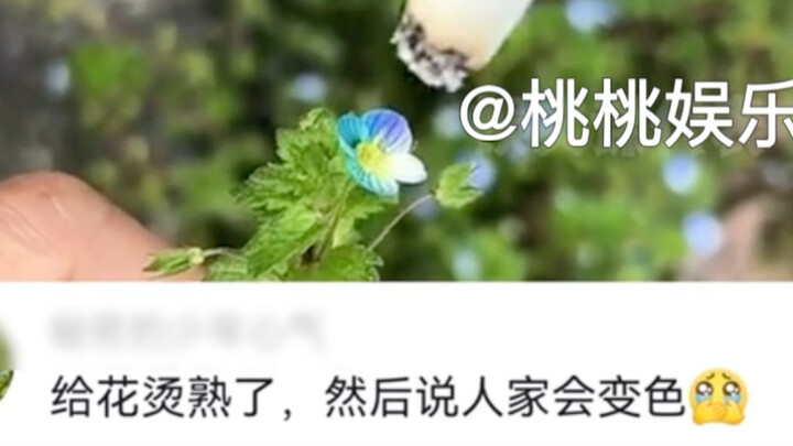 You say flowers change color when you scald them? How about I scald you—let’s see if you turn colors