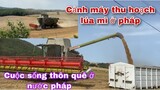 Cuộc sống thôn quê nước pháp/máy thu hoạch lúa mì ở pháp/nghề làm nông nghiệp ở Pháp