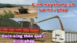 Cuộc sống thôn quê nước pháp/máy thu hoạch lúa mì ở pháp/nghề làm nông nghiệp ở Pháp