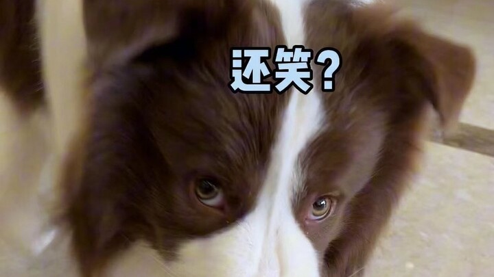 ลูกปลาที่แข็งแกร่งตลอดชีวิต