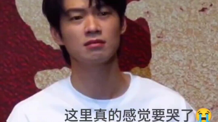 ลูกสุนัขเลือกที่จะเชื่อใจมนุษย์อีกครั้ง