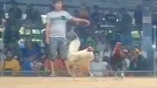 StanSid red na-unahan pero win pa rin sa 2 hits sa Bulacan, Jan 2024