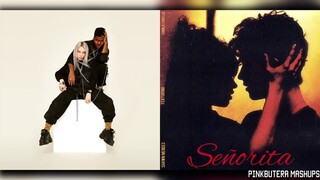 lovely & Señorita (Billie Eilish, Khalid, Shawn Mendes, & Camila Cabello Mashup!)