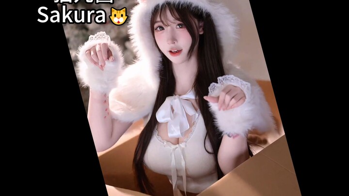 การละเว้นกิเลส 662: เจ้าเหมียวคุณซากุระ 🐱
