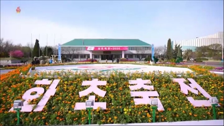 Festival de Flores Decorativas