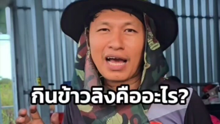กินข้าวลิงคืออะไร?