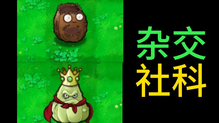 假如用杂交植物学习风险社会