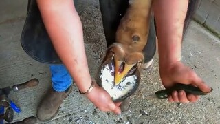 (Chuyện ma về nội quy) Trong nhóm sinh viên, một người ẩn danh với hình đại diện màu đen đã đăng rất
