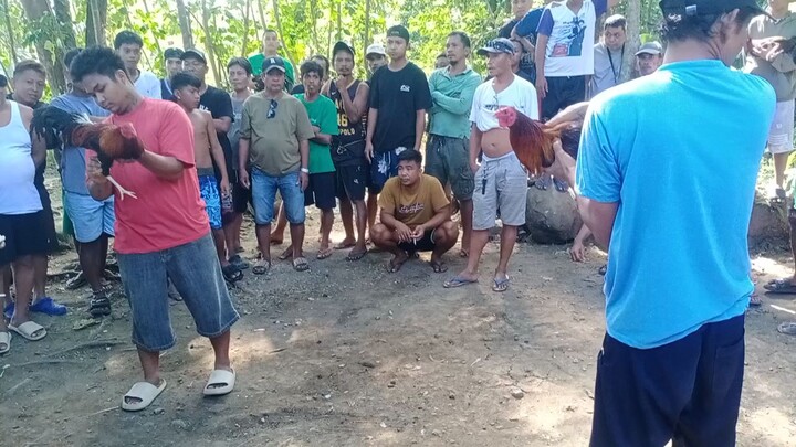 manok ko napuruhan