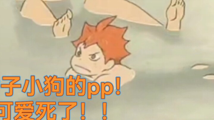 Volleyball boy! Come in and see the cute orange-flavored puppies!