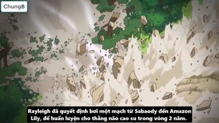 Nhiệm Vụ Cuối Cùng Của Băng Hải Tặc Roger Là Gì_ I Giả Thuyết One Piece p6