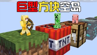 我的世界：被囚禁在巨型方块的虚空中！逃离？还是生存下去！
