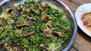 Về chòi là có món ngon. Lươn lá cách nước cốt dừa - Bin Đen Miền Tây # 204