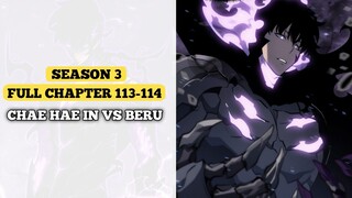 SOLO LEVELING S3 PART 2 | CHAE HAE IN VS BERU