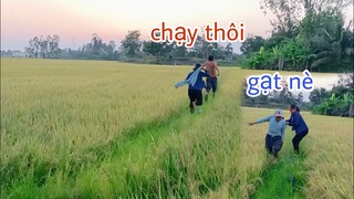 Tư đi đặt chuột gạt vợ làm vợ giận quá giận