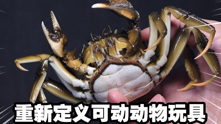 【补档】599元的大闸蟹玩具能做的多逼真？！君卿工作室 超可动 中华绒螯蟹