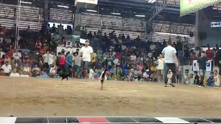 Entry 18 kanawayon win