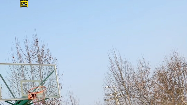 Prince, please like this!