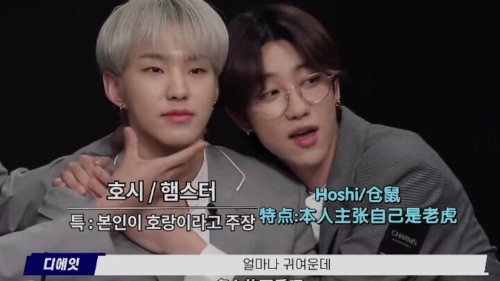 【SEVENTEEN】หู่จื่อ: ทำไมมยองโฮถึงเป็นแบบนั้น?