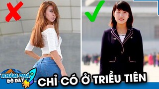 Tiết Lộ 7 Bí Ẩn Thú Vị Về Đất Nước Triều Tiên | KHÁM PHÁ ĐÓ ĐÂY