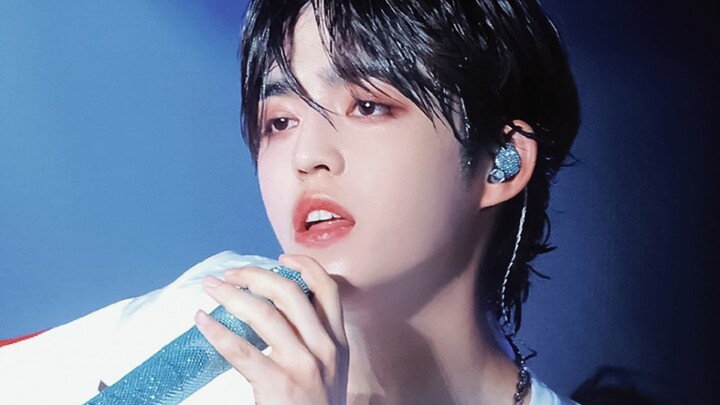 【SEVENTEEN】十三人十三系