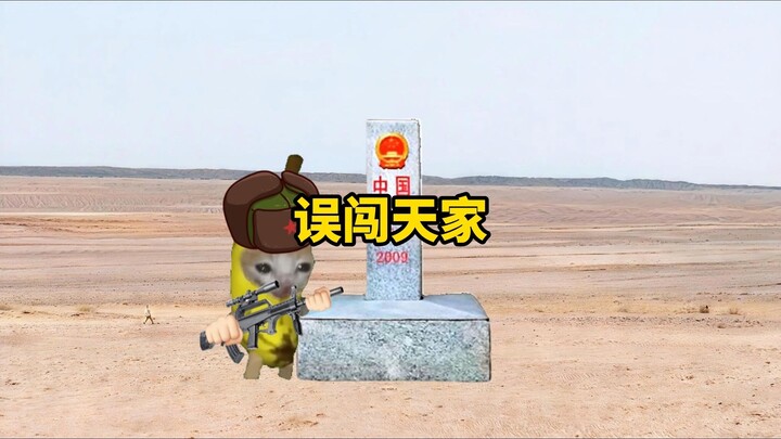 Randomly Updated Land Area