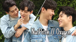 NutPetch เป็น OXYGEN ของกันและกัน Cute Moments