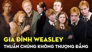 Gia tộc Weasley – Thuần chủng nhưng không thượng đẳng