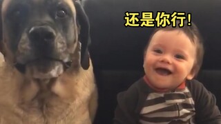 教宝宝说māmā，然而狗子表现亮眼